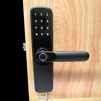 50mm Ttlock 전자 디지털 도어록 스마트 데드볼트 도어록