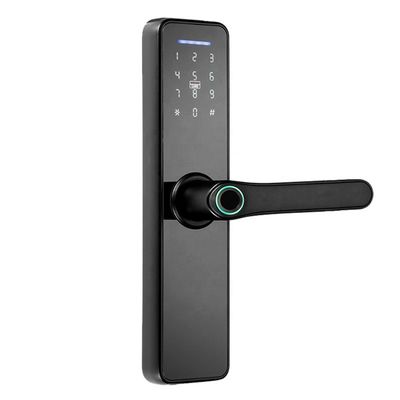 Rosh Ttlock Tuya 앱 스마트 전자 잠금 Wi-Fi 암호 잠금