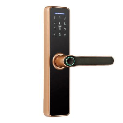Rosh Ttlock Tuya 앱 스마트 전자 잠금 Wi-Fi 암호 잠금